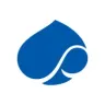 Capgemini logo